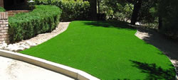 Artificial Turf