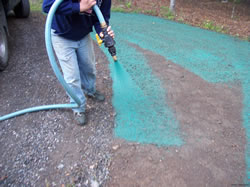 Hydroseeding