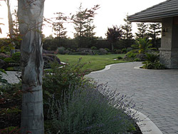 Pavers & Paving Stones