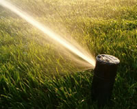 Sprinkler System